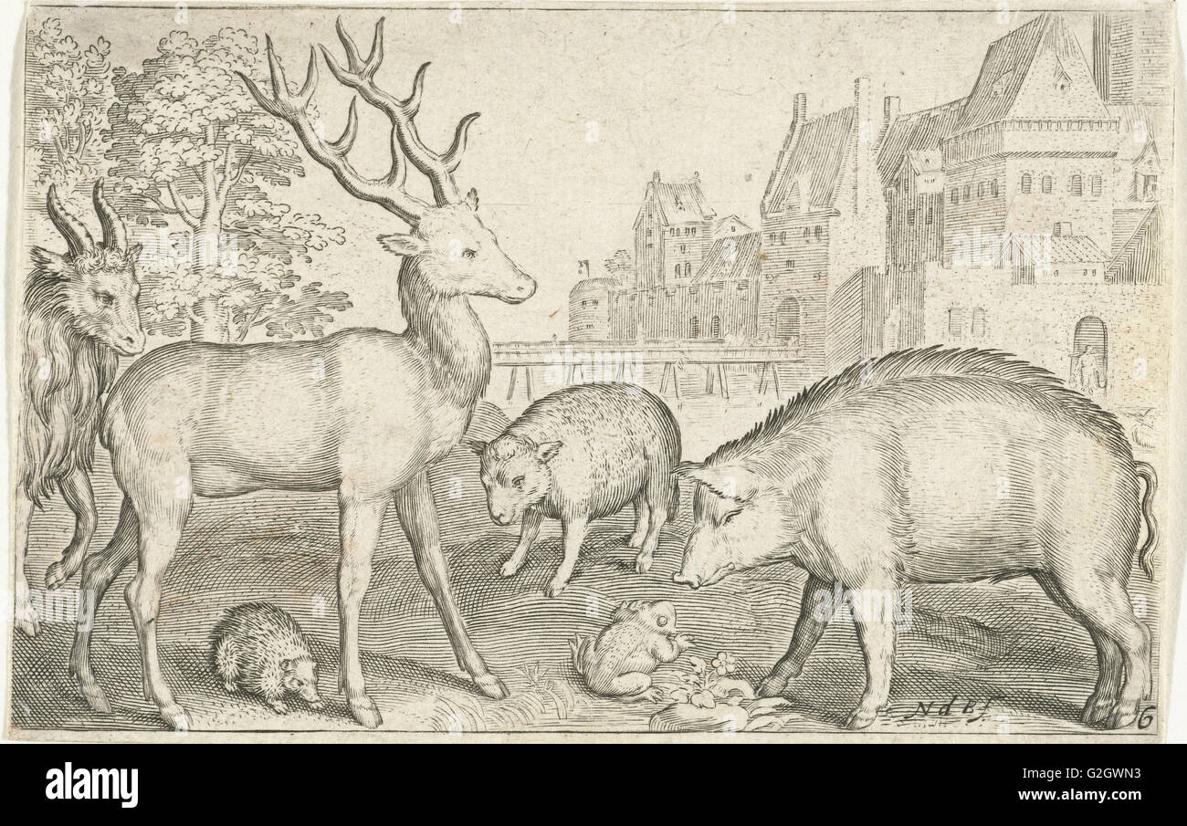 Hart, Igel, Schafe, Schweine und Frosch, Nicolaes de Bruyn, 1594 Stockfoto