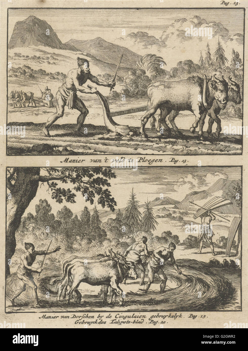 Pflügen, Landwirt, Bauern Dreschen, print Maker: Jan Luyken, Willem Broedelet, 1692 Stockfoto