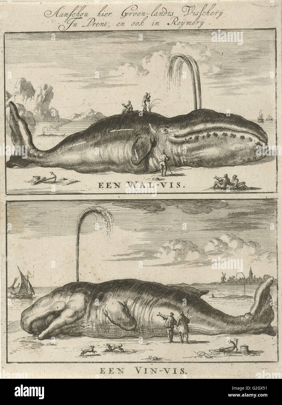 Wal, Jan Luyken, 1684 Stockfoto