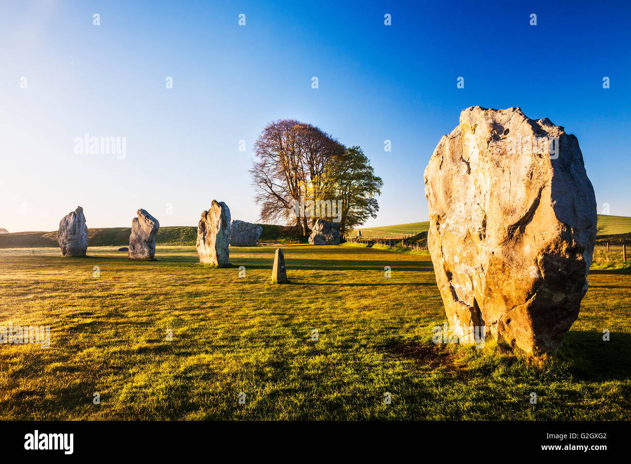 Sarsen Steinen bei Sonnenaufgang in Avebury, Wiltshire. Stockfoto