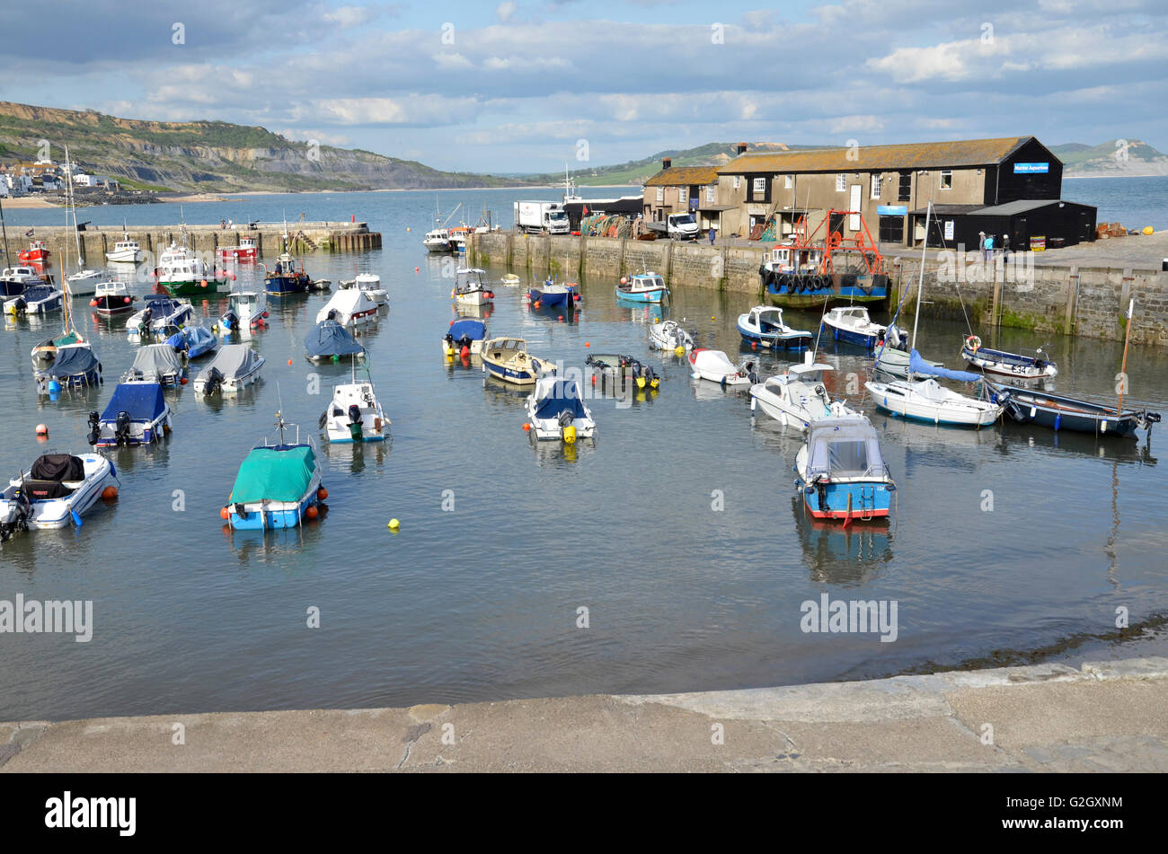 Der Cobb Hafenmauer bei Lyme Regis, Dorset an der südwestlichen Küste von England. Stockfoto