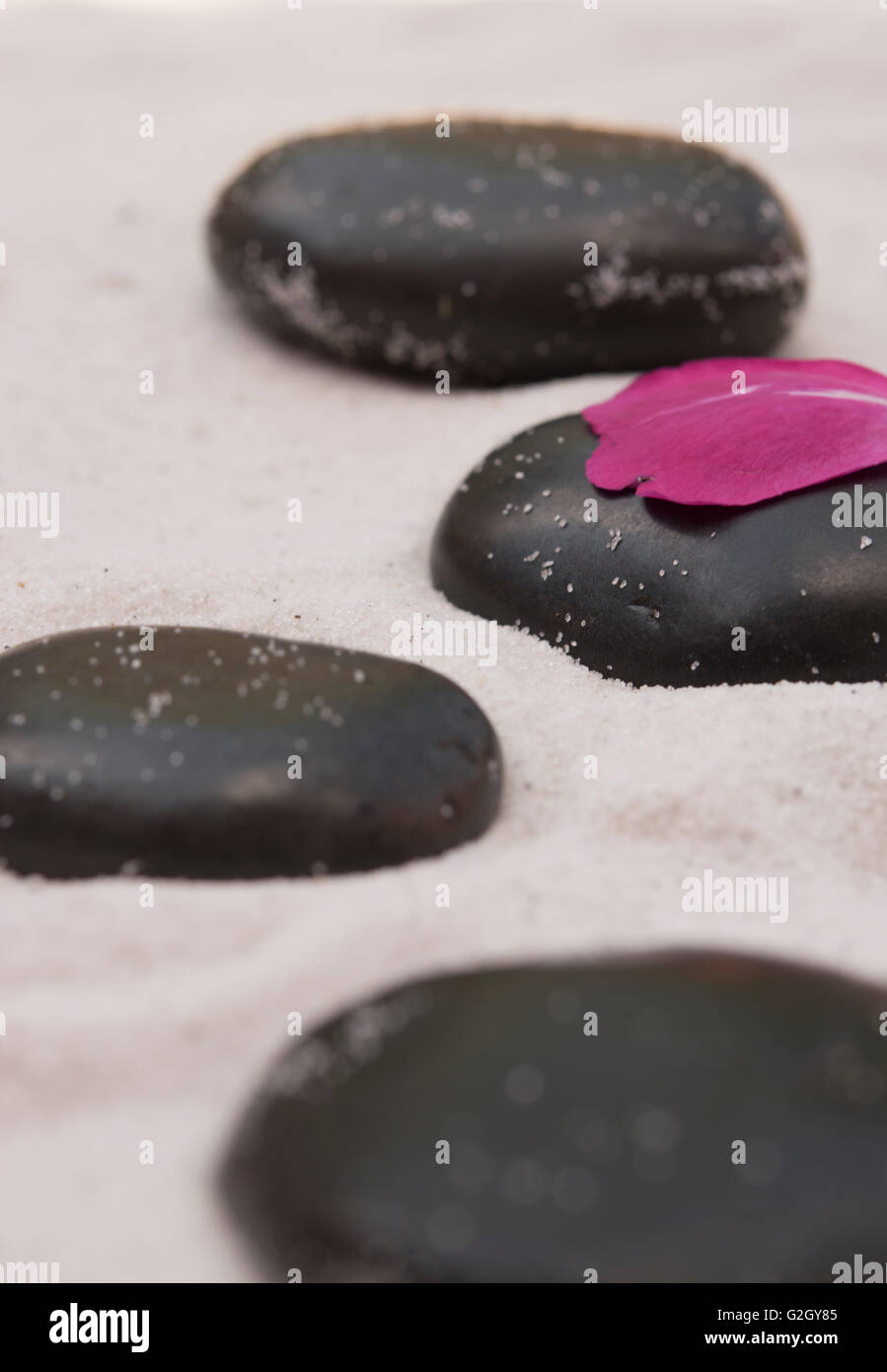 schwarzen Steinen und rote Rosenblüten auf weißem sand Stockfoto