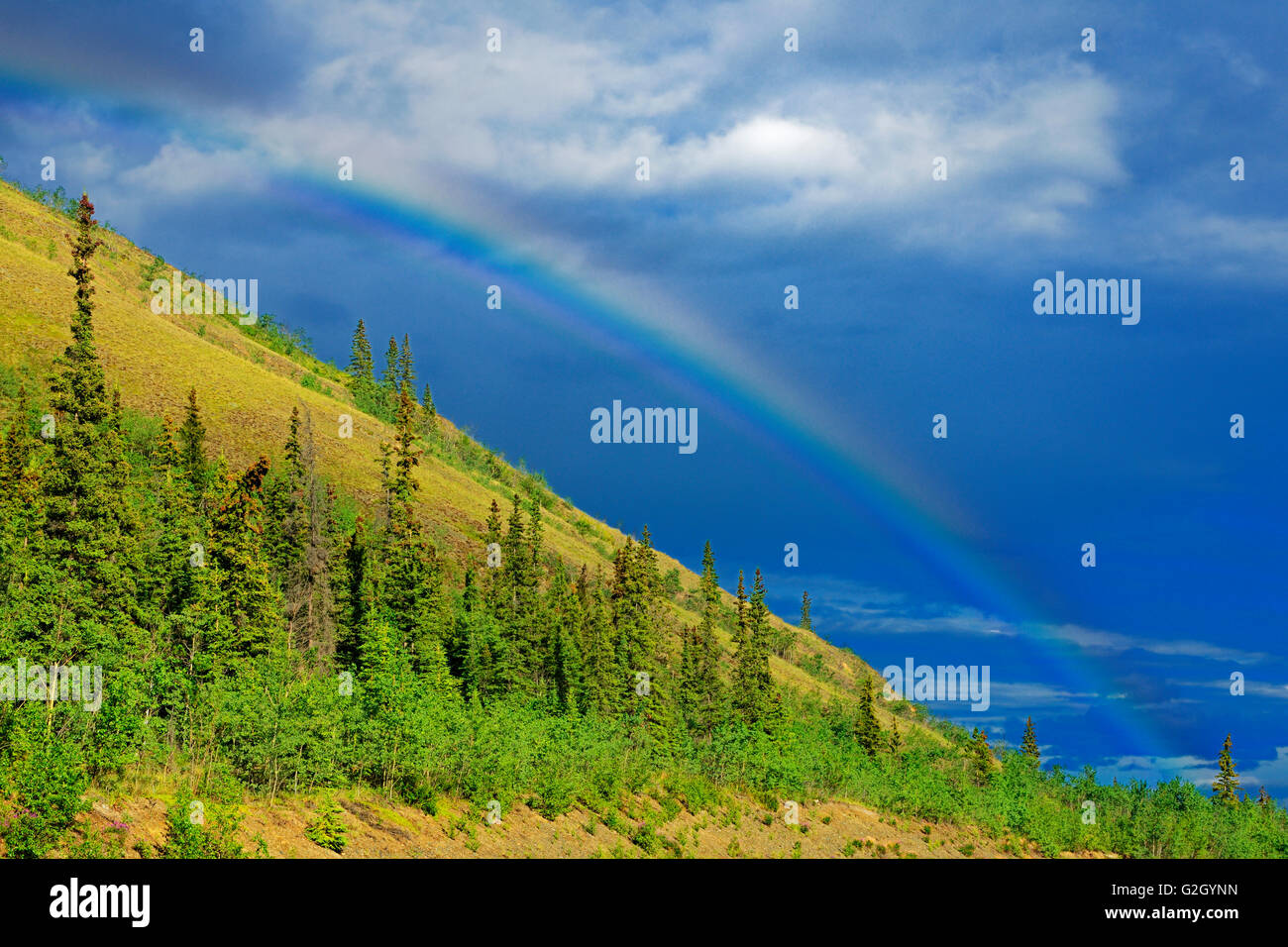 Klondike fields Fotos und Bildmaterial in hoher Auflösung Alamy