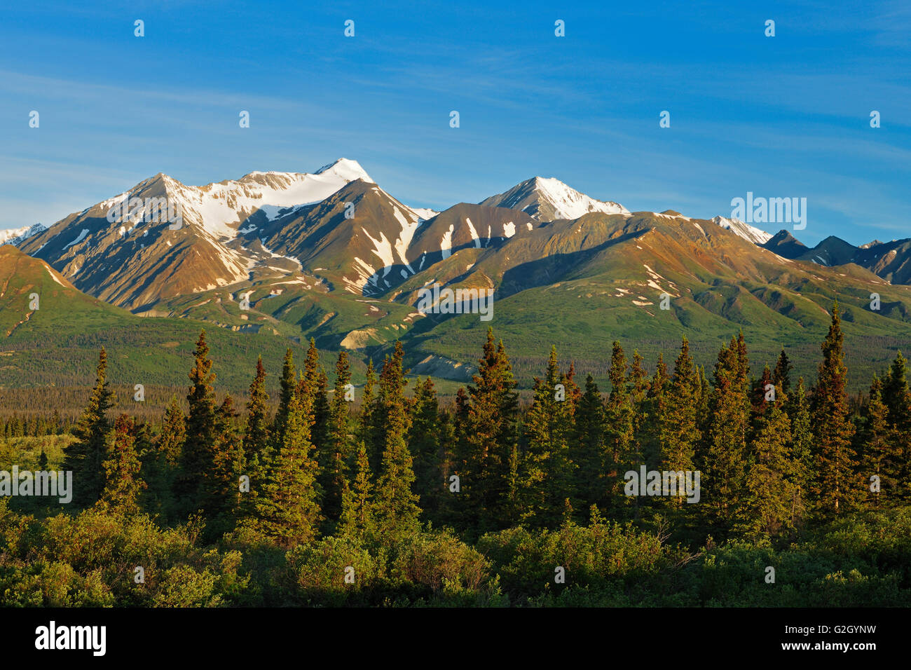 St. Elias Mountains, einer Untergruppe der Pacific Coast Ranges von Haines Junction Yukon Kanada Stockfoto