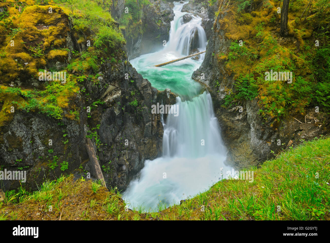 Wasserfälle auf der Little Qualicum River Little Qualicum River Provincial Park-British Columbia-Kanada Stockfoto