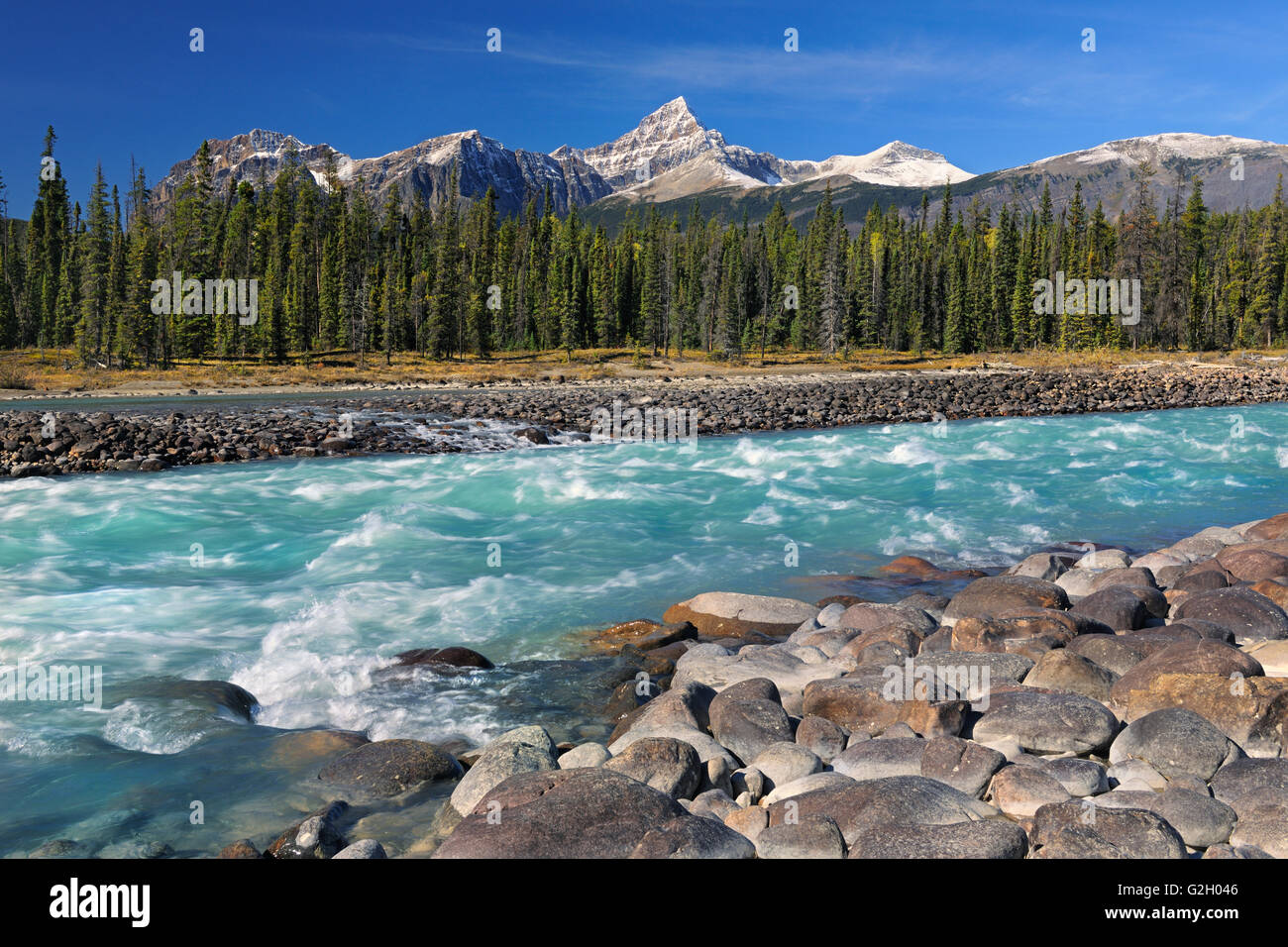 Athabasca River und der kanadischen Rocky Mountains Jasper Nationalpark Alberta Kanada Stockfoto