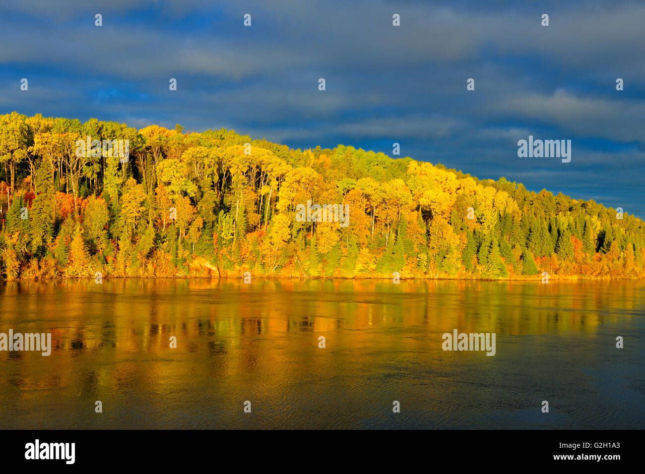 Herbst am Lac Seul Ear Falls Ontario Kanada Stockfoto