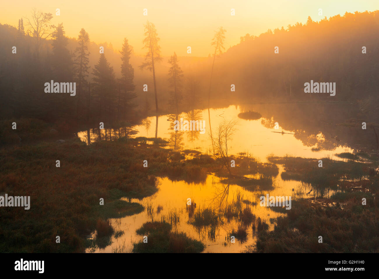 Sonnenaufgang über dem borealen Wäldern und Feuchtgebieten Kenora Ontario Kanada Stockfoto