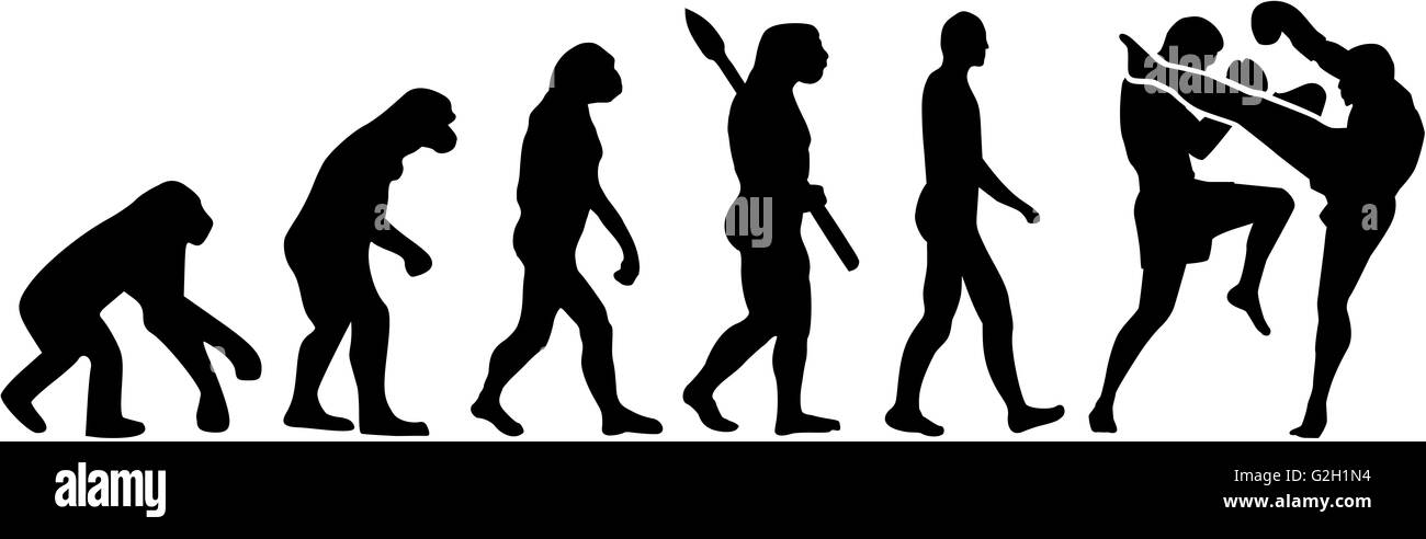 Muay Thai Kämpfer evolution Stockfoto