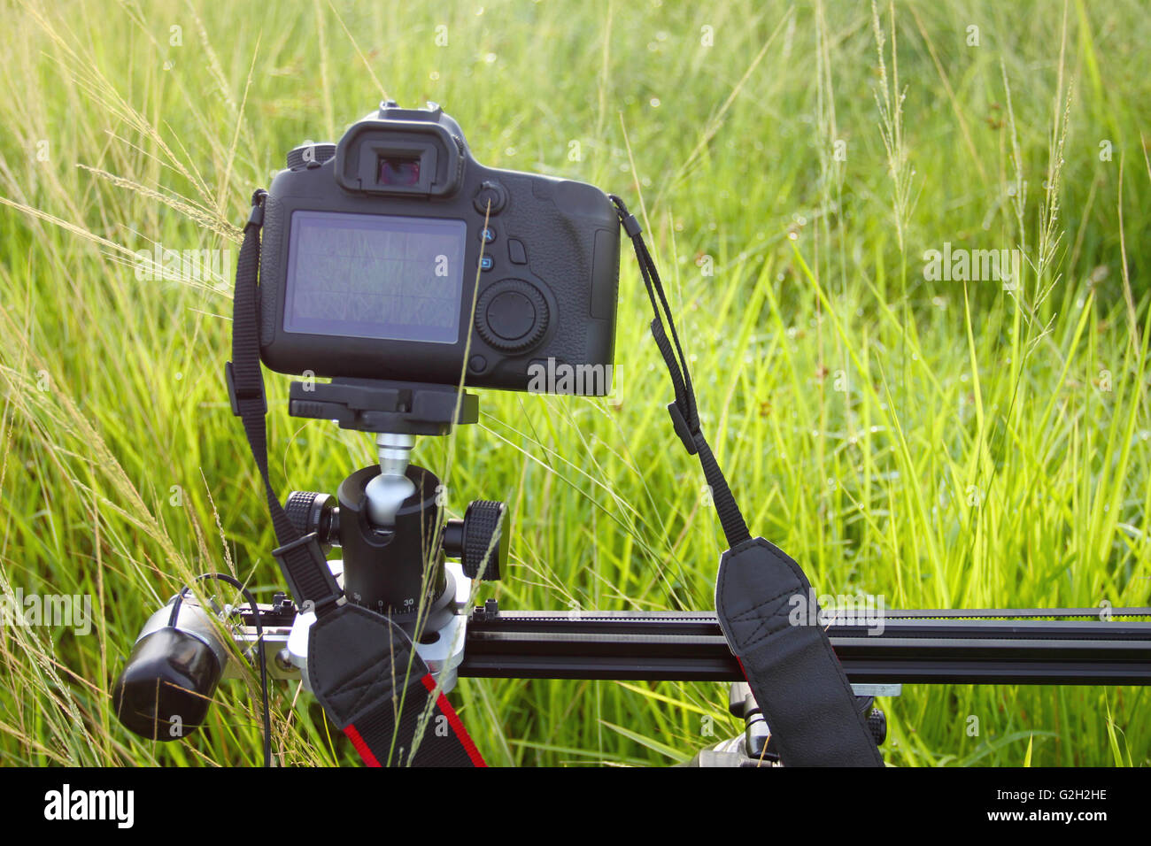 Kamera auf einem Stativ, die Aufnahme einer grünen Wiese am Morgen. Stockfoto