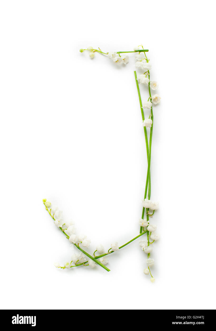 Englische Alphabet von Blume Buchstaben. kreative Deko Buchstabe J Stockfoto