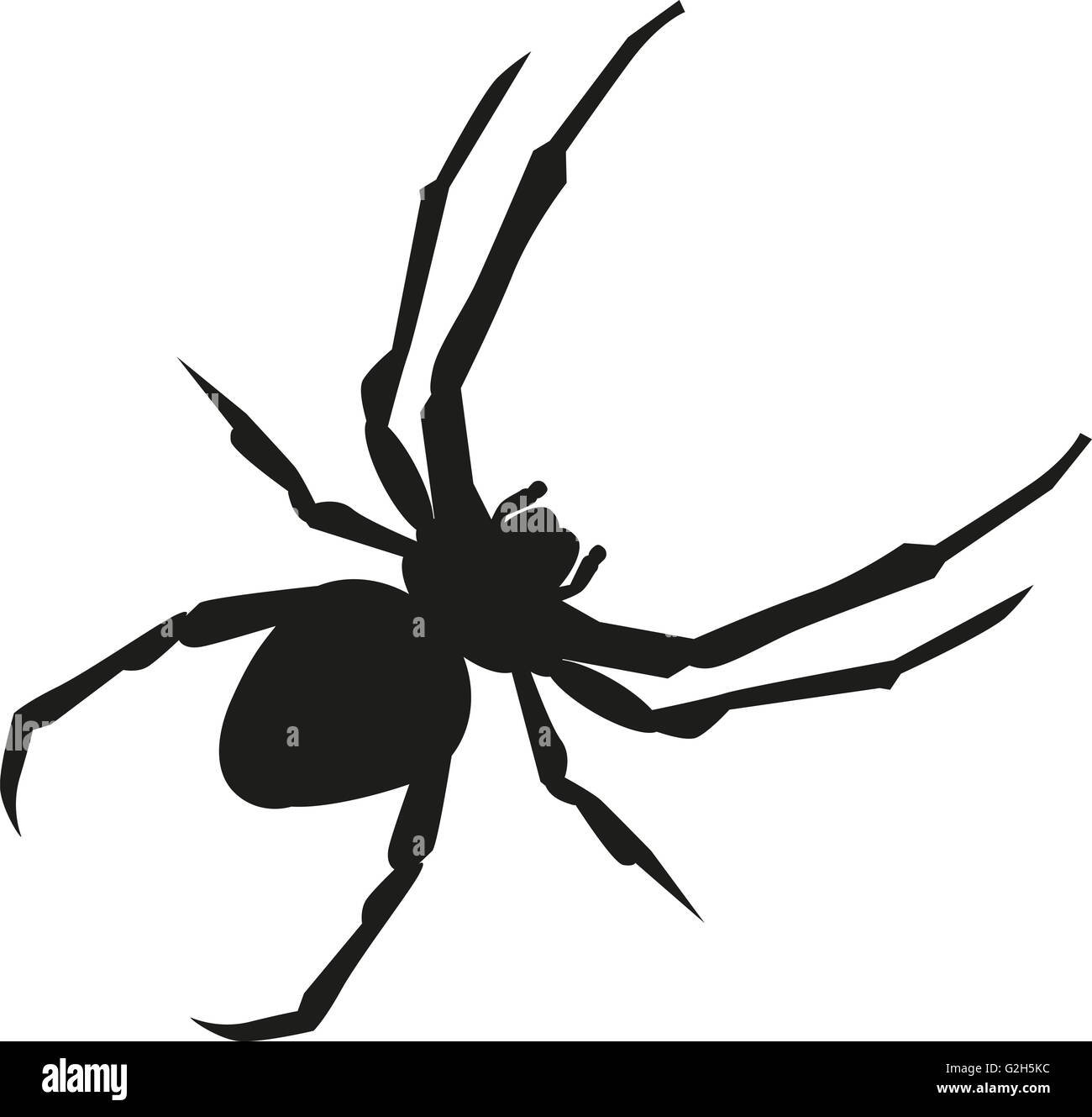 Spinne realistische silhouette Stockfoto