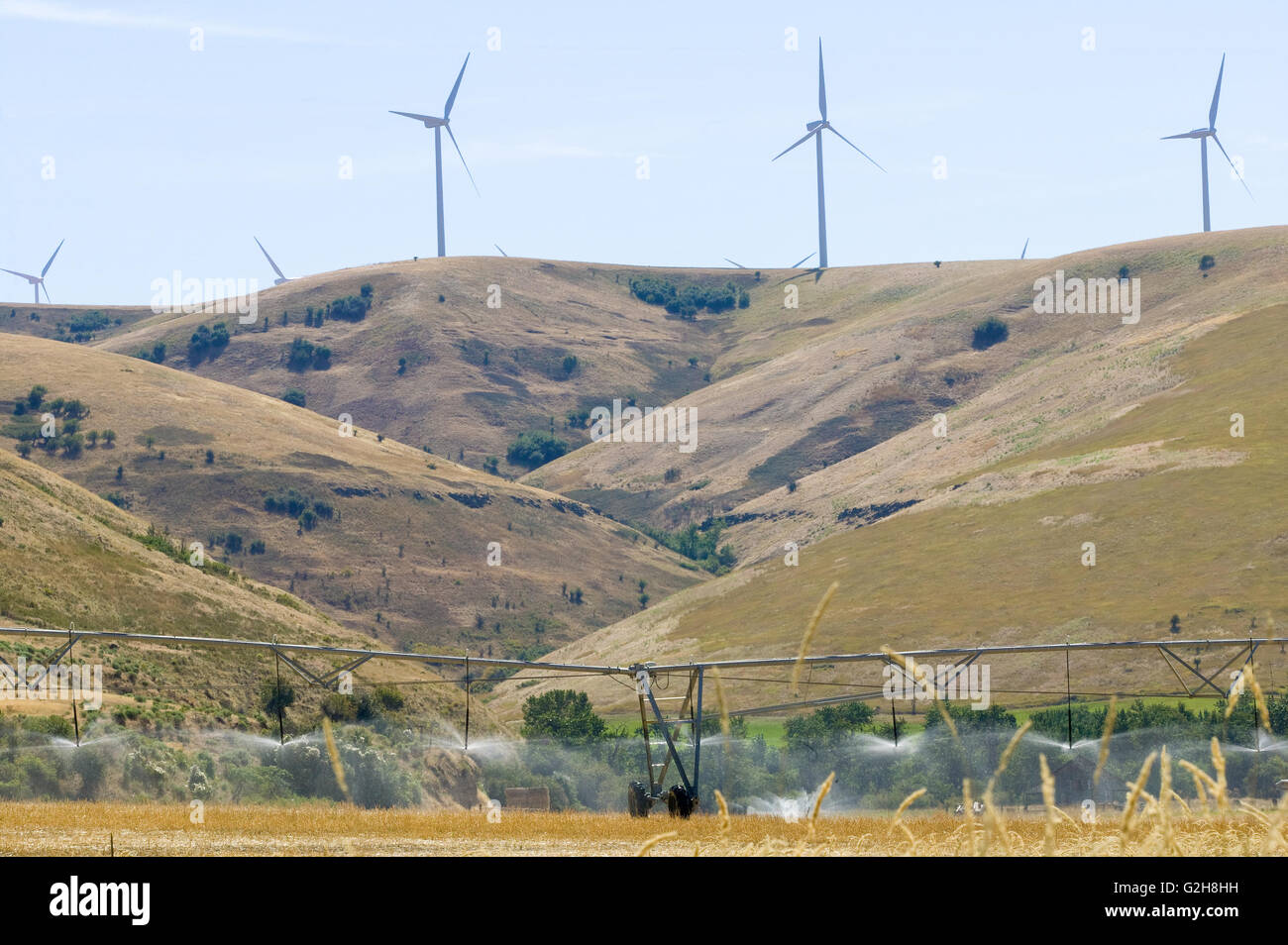 Windkraftanlagen auf Hügel, mit sanften Feld im östlichen Washington in der Nähe von Clarkston Bewässerung Bewässerungssystem Stockfoto