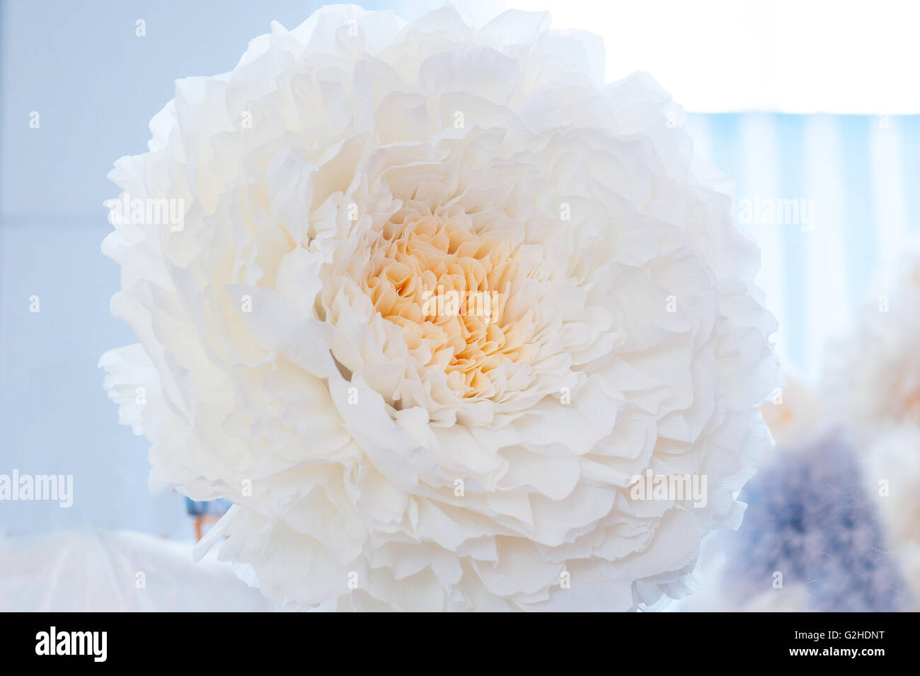 schöne weiße Papierblume für Hochzeitsdekoration Stockfoto