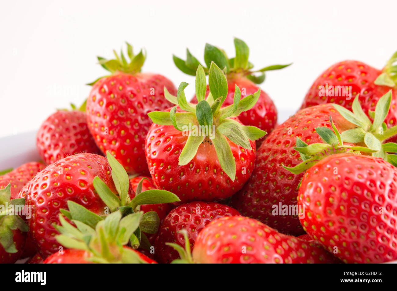 Frische Erdbeeren in einer weißen Schüssel vor weißem Hintergrund Stockfoto
