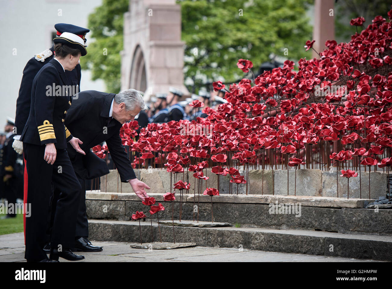 Kirkwall, Großbritannien. 31. Mai 2016. HANDOUT - Bundespräsident Joachim Gauck eine Mohnblume des Kunstwerks "Welpen Weinen Fenster" neben Prinzessin Anne vor St. Magnus Cathedral in Kirkwall, Großbritannien, 31. Mai 2016 zu berühren. Gauck nimmt Teil an der Gedenkfeier für das Denkmal der Schlacht bei Meer im ersten Weltkrieg vor 100 Jahren. Foto: BUNDESREGIERUNG/BERGMANN/Dpa Aufmerksamkeit: Editorial/obligatorischen Credits verwenden: Foto: Guido Bergmann/Bundesregierung/Dpa/Alamy Live News Stockfoto