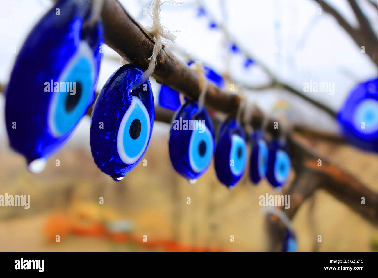 Glas blau Nazars, Reize zur Abwehr der Evil Eye hängen an den Ästen eines Baumes im Regen in der Türkei (geringe Schärfentiefe f Stockfoto