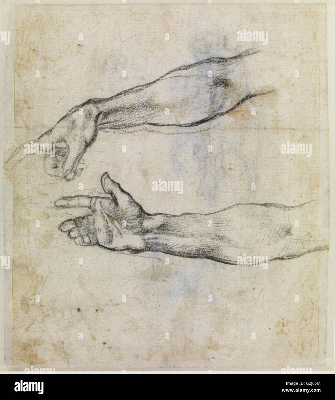 Michelangelo Buonarroti - Studien von einem ausgestreckten Arm für das Fresko "der Trunkenheit Museum Boijmans Van Beuningen - Rotterdam Stockfoto