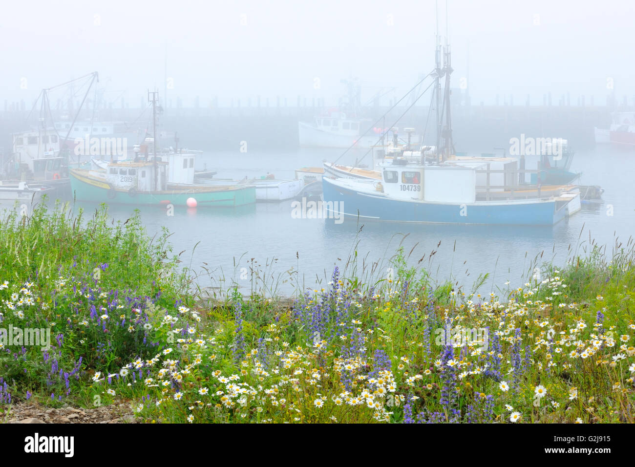 Angelboote/Fischerboote im Nebel bei North Head Grand Manan Island New Brunswick Kanada Stockfoto