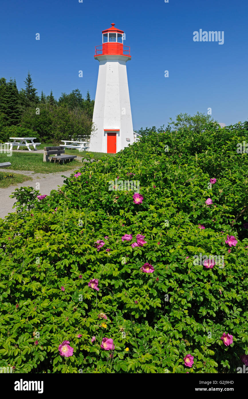 Leuchtturm am St.-Lorenz-Golf Cap-de-Bon-Désir Quebec Kanada Stockfoto
