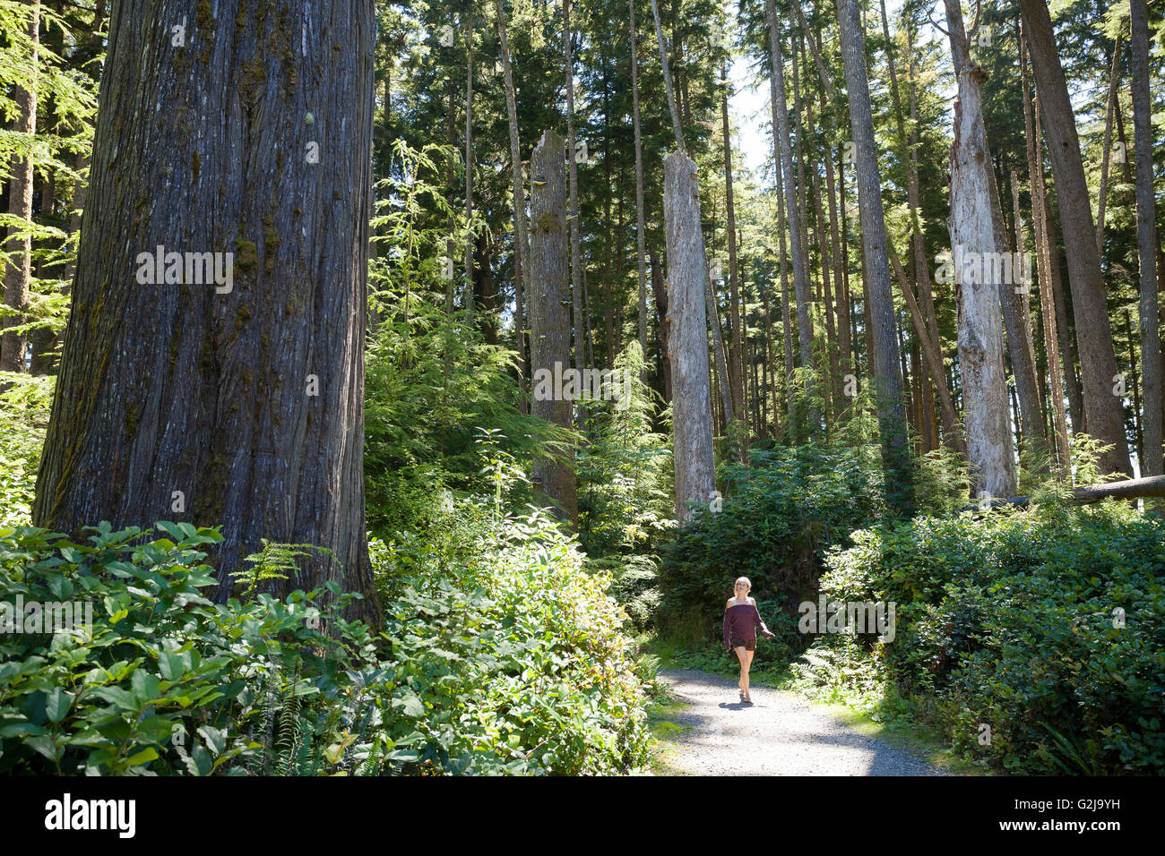 Eine junge Frau Spaziergänge auf einem Waldweg am China Tagesgebühr Strandbereich in Juan de Fuca Provincal Park Vancouver Island BC Kanada Stockfoto