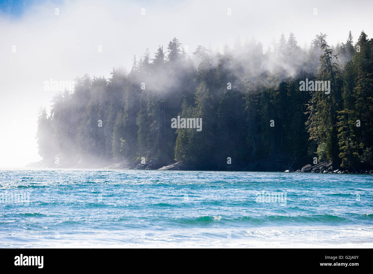 Blick auf den Pazifischen Ozean und Coastaline aus China Beach in Juan de Fuca Provincal Park. Vancouver Island, BC, Kanada. Stockfoto