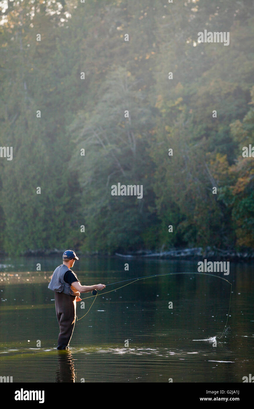 Ein Mann, Fliegenfischen auf Lachs im Fluss Sooke. Vancouver Island, BC, Kanada Stockfoto