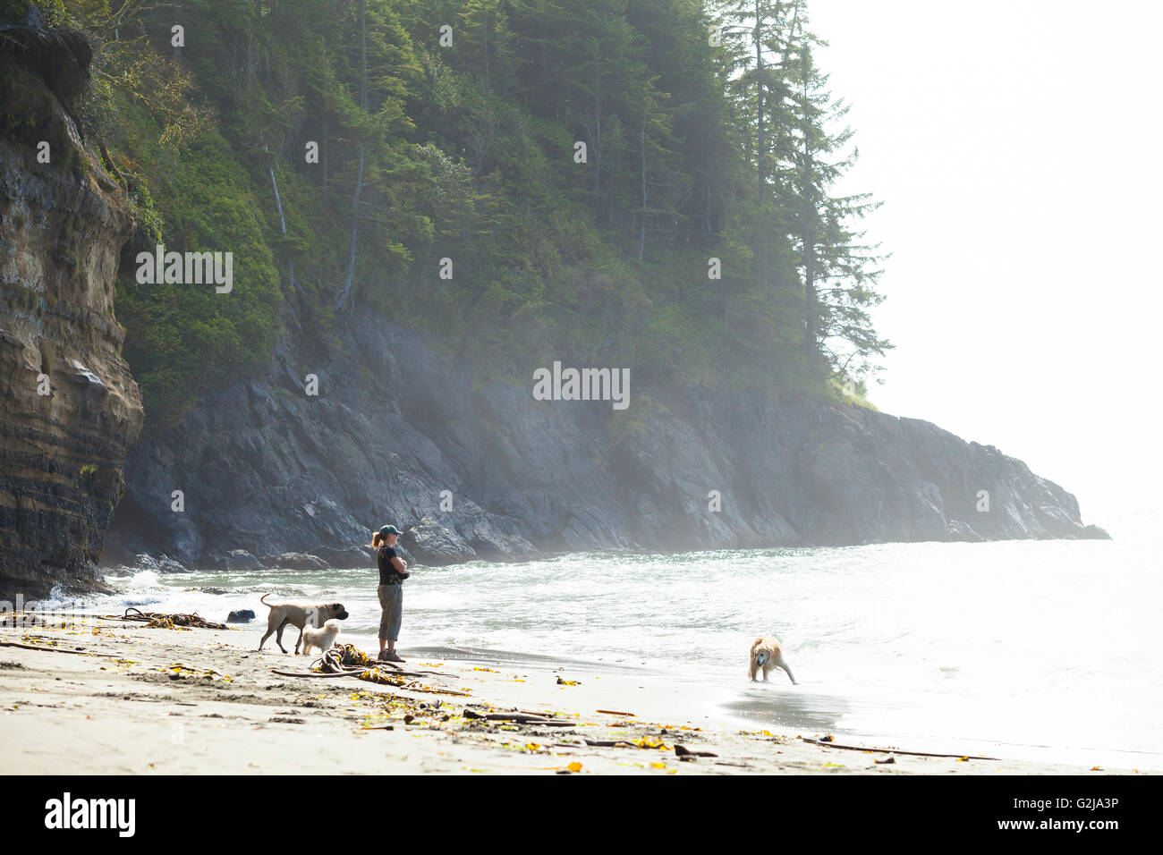 Eine Frau mit drei Hunden in Mystic Beach entlang der Juan de Fuca Trail. Vancouver Island, BC, Kanada. Stockfoto