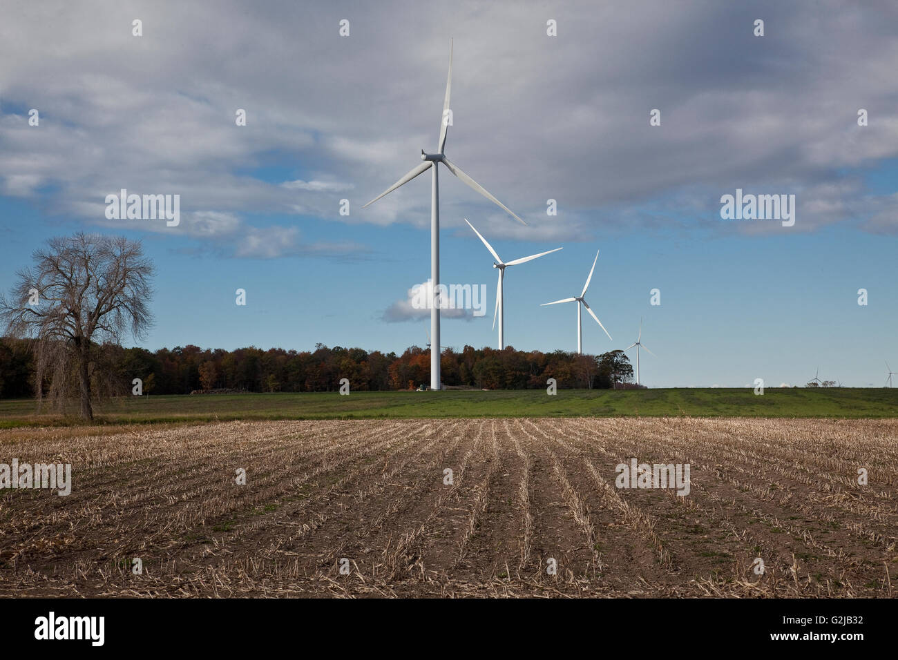 Windmühlen in Ackerland von Südwest-Ontario (in der Nähe von Lake Erie), Ontario, Kanada. Stockfoto