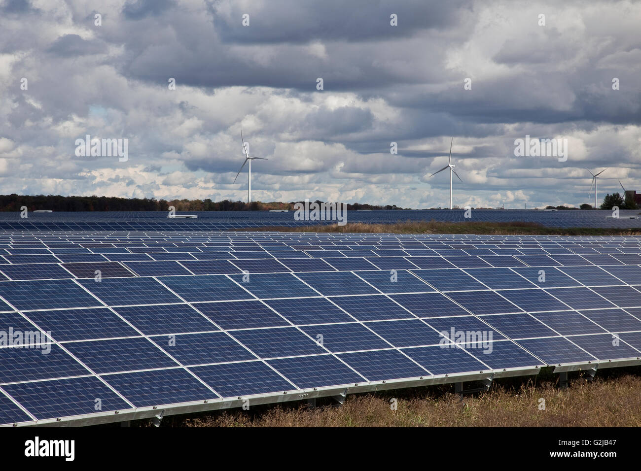 Großen Solarpark mit Windmühlen im Hintergrund im Südwesten Ontarios (in der Nähe von Lake Erie), Ontario, Kanada. Stockfoto