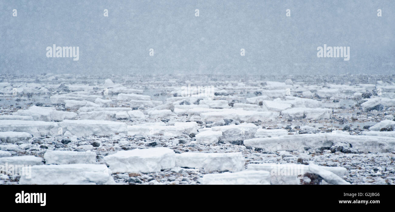 Panorama der schneit auf der gefrorenen Tundra, Churchill, Manitoba, Kanada Stockfoto