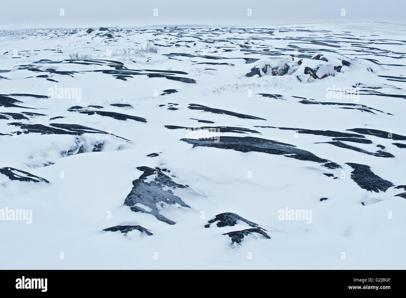 Die gefrorenen felsige Küste der Hudson Bay in Churchill, Manitoba, Kanada Stockfoto