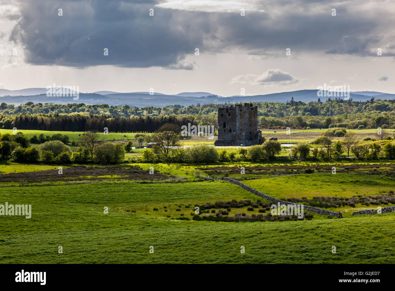 Threave Castle im Abendlicht auf dem Threave Landgut in der Nähe von Castle Douglas, Dumfries & Galloway, Schottland Stockfoto