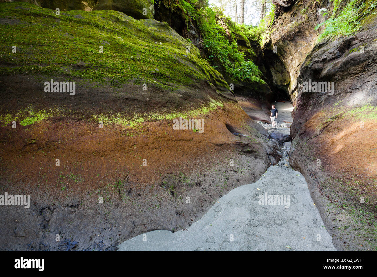 Ein Wanderer steht bei der Eröffnung einer Meereshöhle Owen Punkt entlang West Coast Trail Pacific Rim National Park Reserve Vancouver Island BC Stockfoto