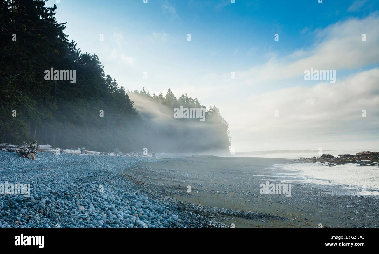 Strand bei Sonnenaufgang, Walbran Creek Campingplatz, West Coast Trail, Pacific Rim National Park Reserve, Vancouver Island, BC, Kanada. Stockfoto