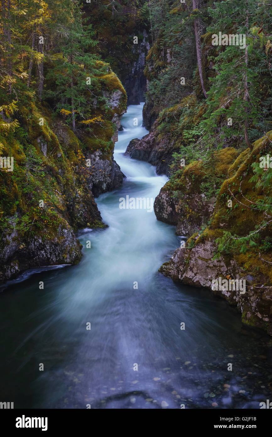 Qualicum River bei Qualicum Falls Provincial Park in der Nähe von Parksville, Britisch-Kolumbien auf Vancouver Island, Kanada Stockfoto