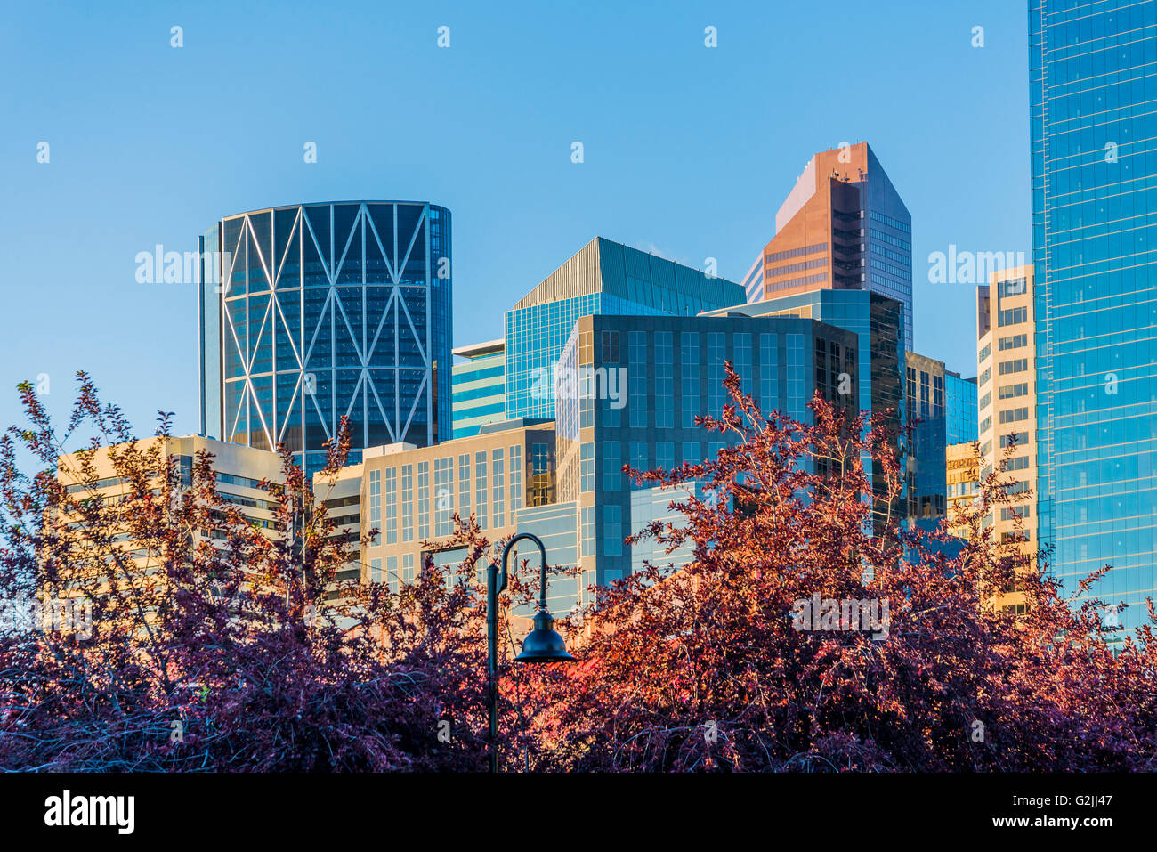 Skyline bei Eau Claire Plaza, Calgary, Alberta, Kanada Stockfoto