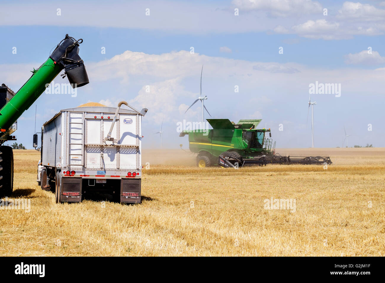 John Deere Mähdrescher erntet Weizen und Korn aus einem Getreide Wagen auf einem Sattelschlepper in Oklahoma, USA geladen wird. Stockfoto