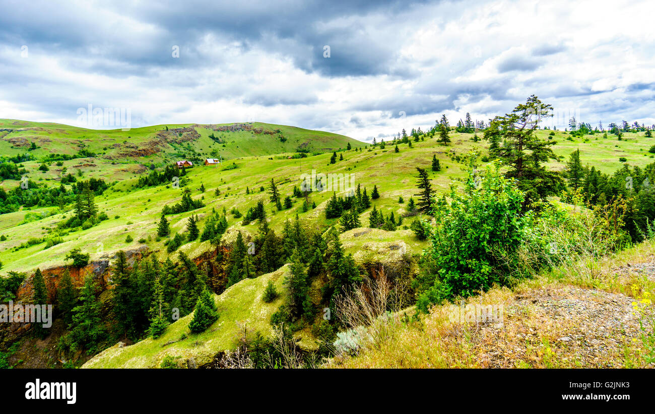 Die weiten Wiesen und sanften Hügeln des Nicola Tal zwischen Kamloops und Merritt, British Columbia, Kanada Stockfoto