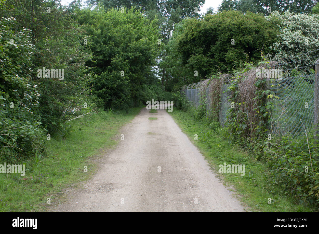 Feldweg außerhalb einer Abwasser-Behandlung arbeitet in Abingdon, Oxfordshire. Die Straße führt auf eine Zuteilung-Website. Stockfoto