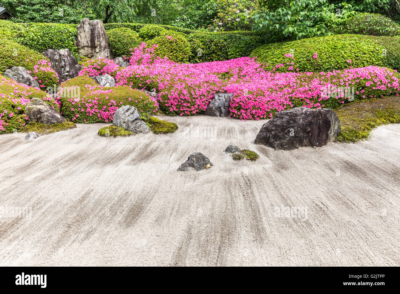 Meigetsuin-Zen-Garten, auch bekannt als Ajisaidera oder Hortensie Tempel Stockfoto