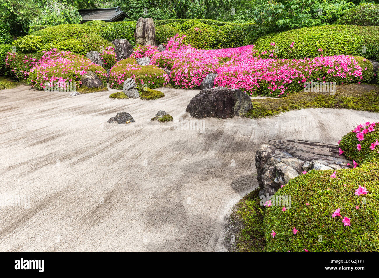 Meigetsuin-Zen-Garten, auch bekannt als Ajisaidera oder Hortensie Tempel Stockfoto