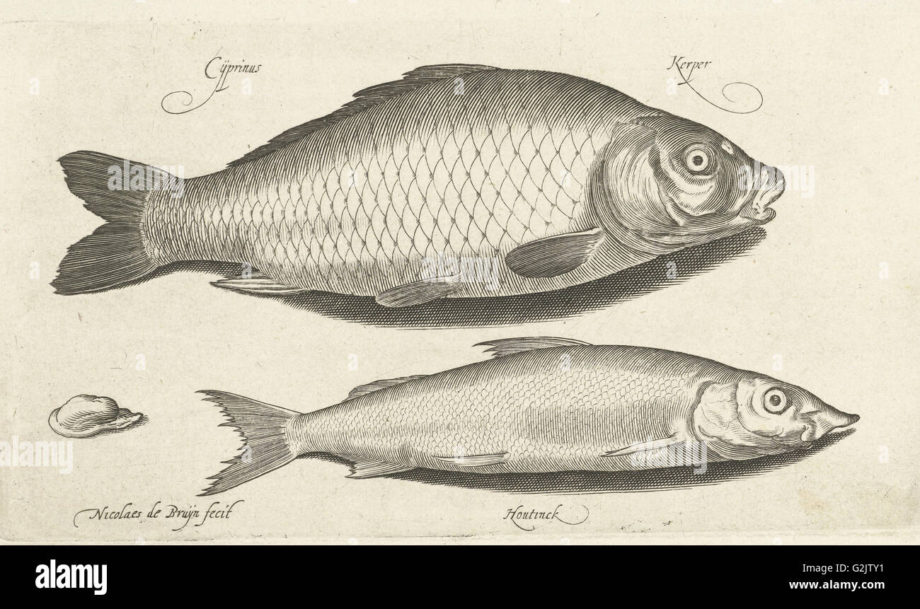 Karpfen und Weißfisch, Nicolaes de Bruyn, 1581-1656 Stockfoto