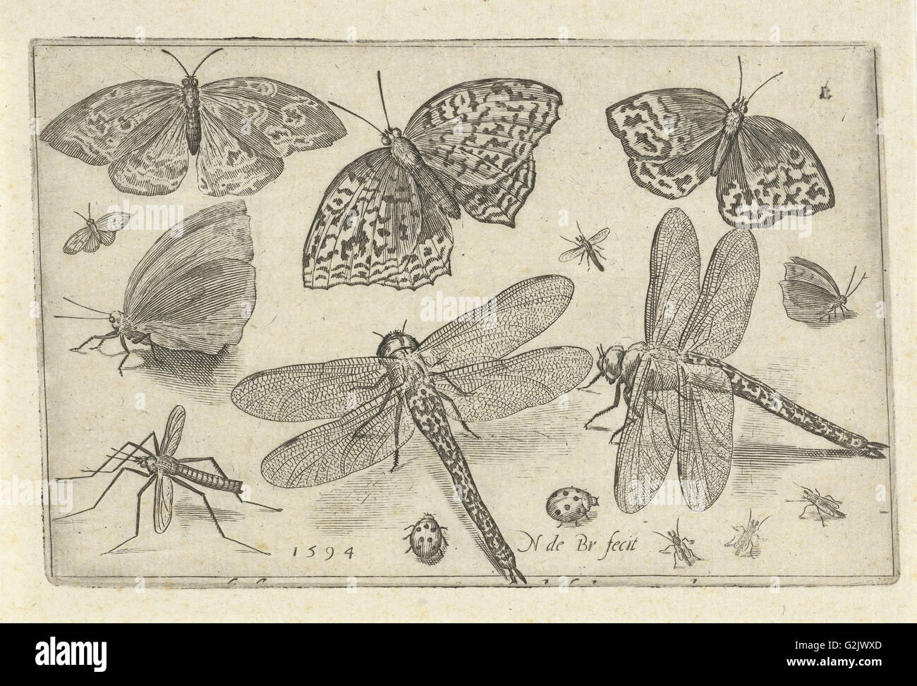 Schmetterlinge und Libellen, Nicolaes de Bruyn, 1594 Stockfoto