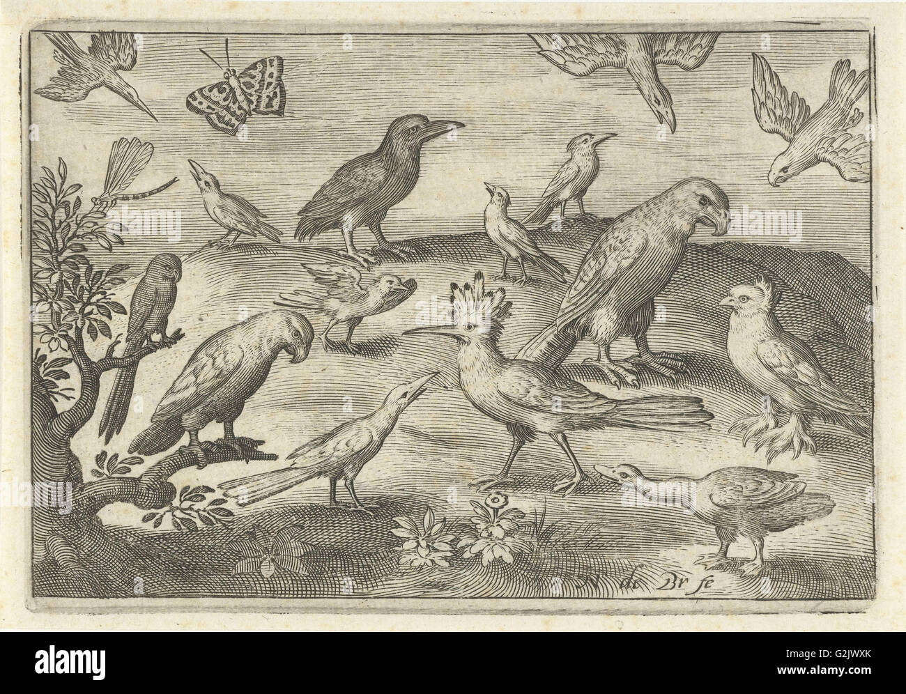 Hop und andere Vögel, Nicolaes de Bruyn, 1594 Stockfoto