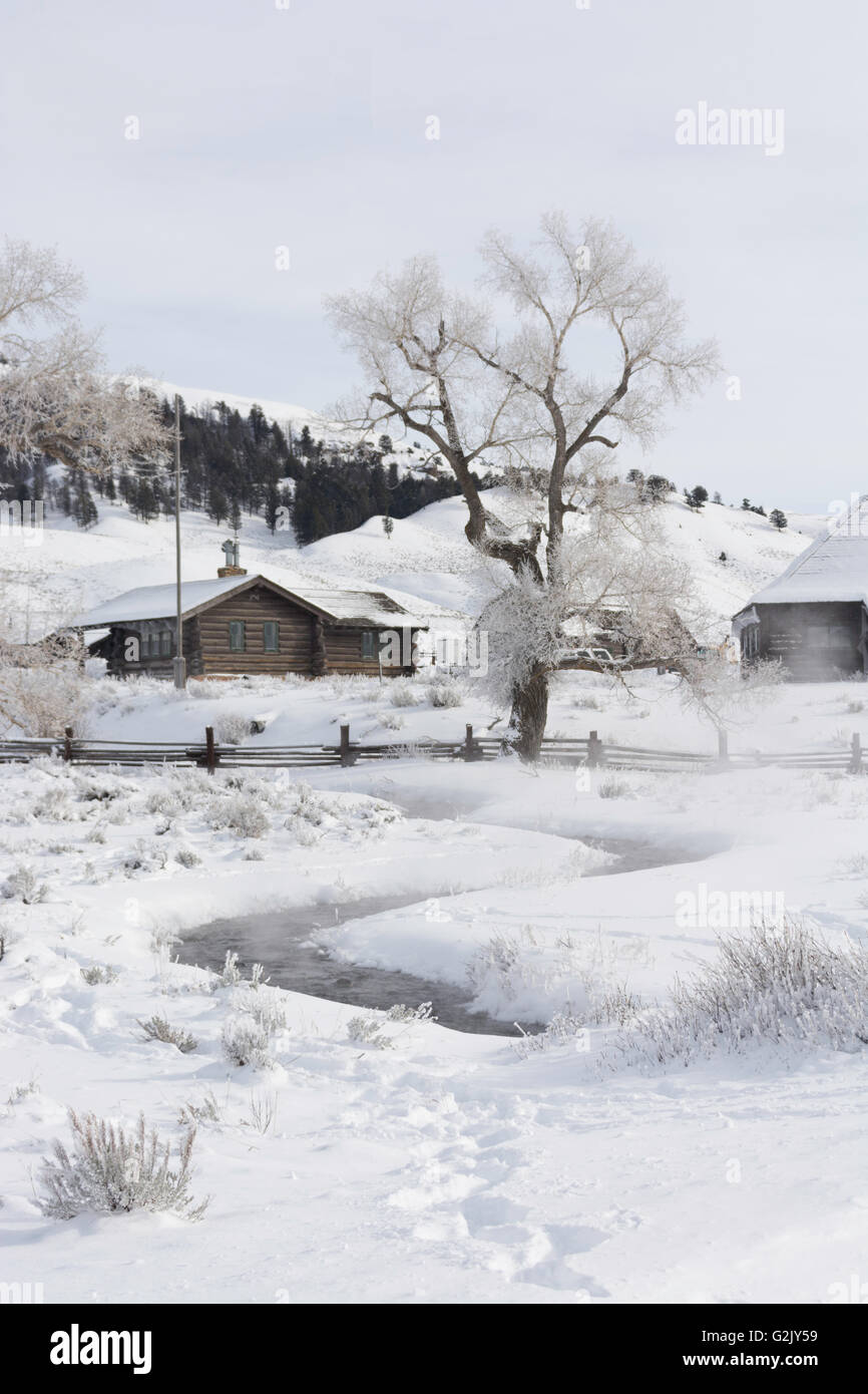 Yellowstone Association Institute in Lamar Valley. Soda Butte Gebiet Bäume mit Raureif auf sie. Stockfoto