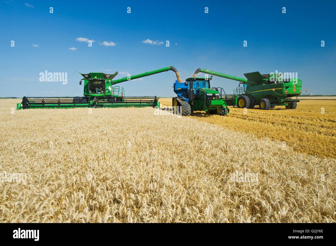 Weizen Entladen Stockfotos und -bilder Kaufen - Alamy