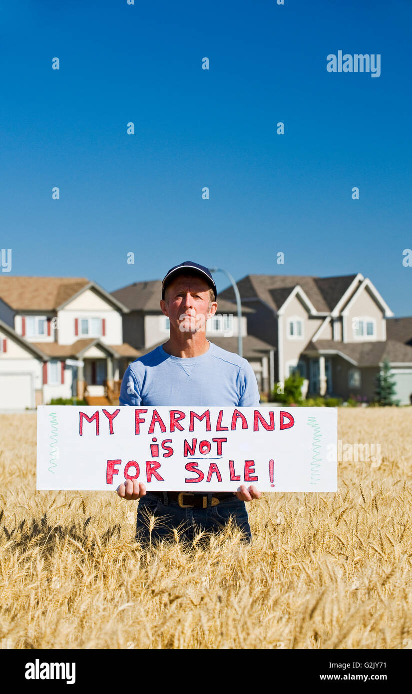 ein Bauer mit einem Schild, blickt auf eine ausgereifte Winterweizen Feld neben Zersiedelung, Winnipeg, Manitoba, Kanada Stockfoto