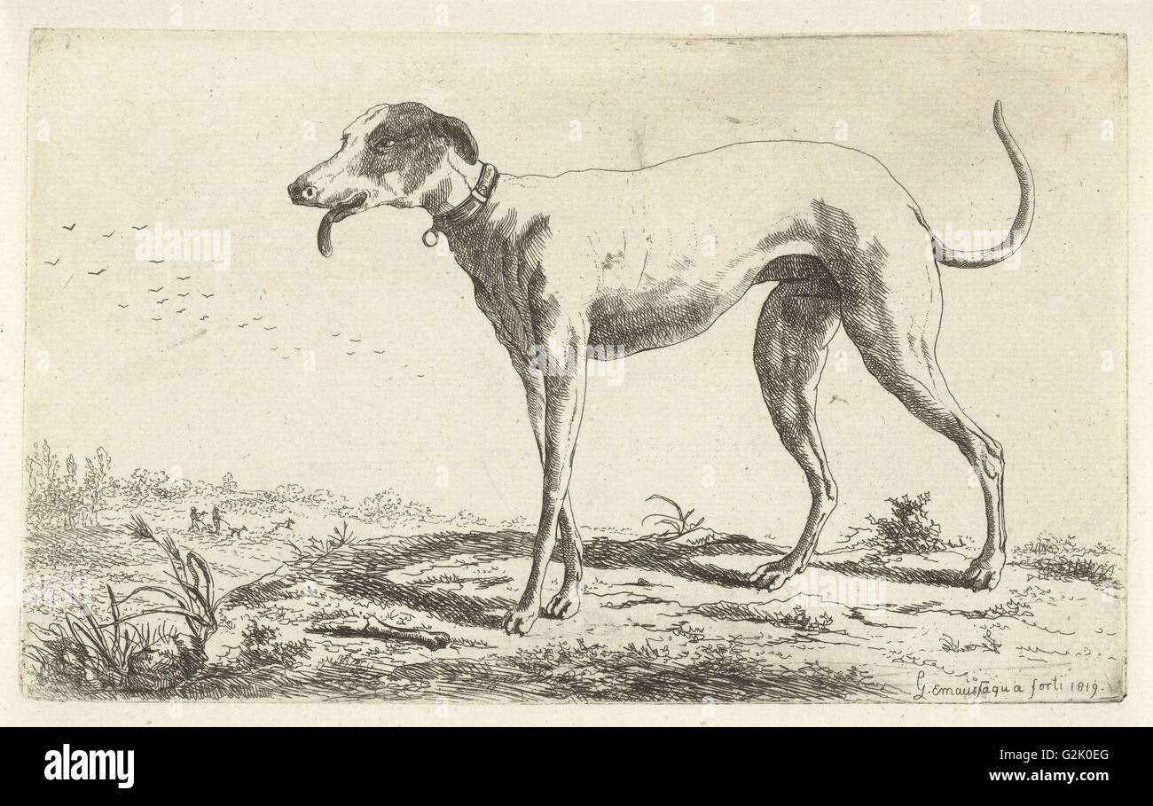 Greyhound Diana, Gerardus Emaus de Micault, 1819 Stockfoto