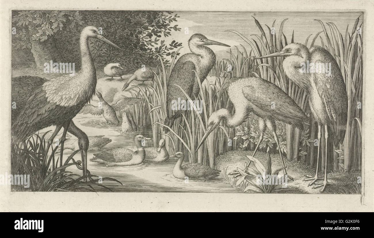 Störche und Enten in einem Teich, Jan van Londerseel, 1580-1625 Stockfoto
